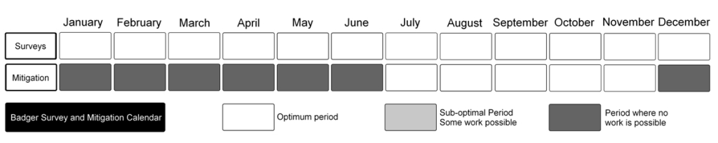 Badger Survey and Mitigation Calendar